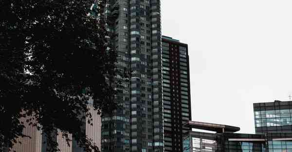 佛跳墙最新版下载v2.